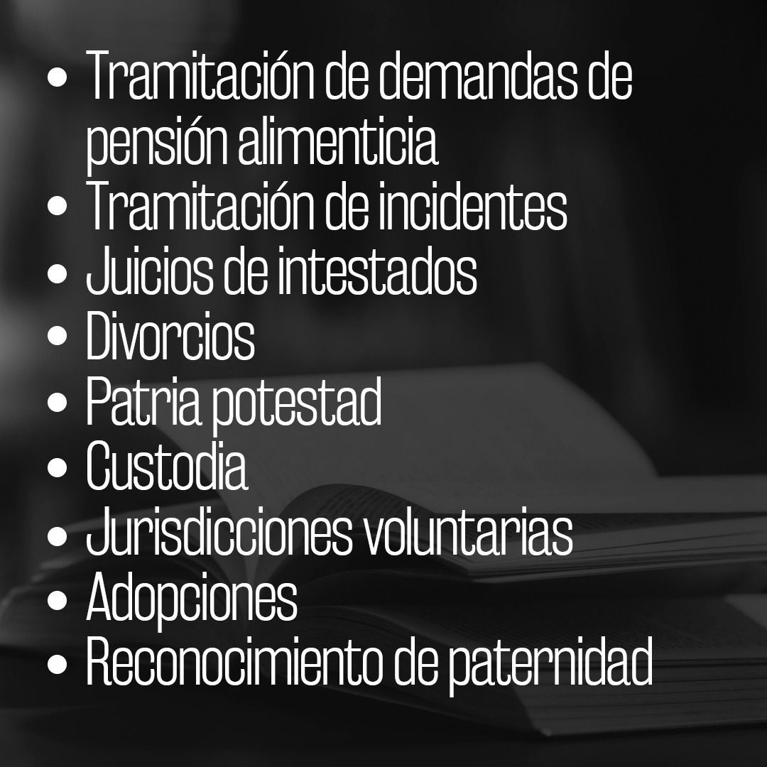 Zavala Abogados S.C. — foto 2