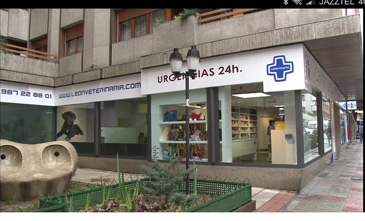 Clínica Veterinaria Centro León — foto 3