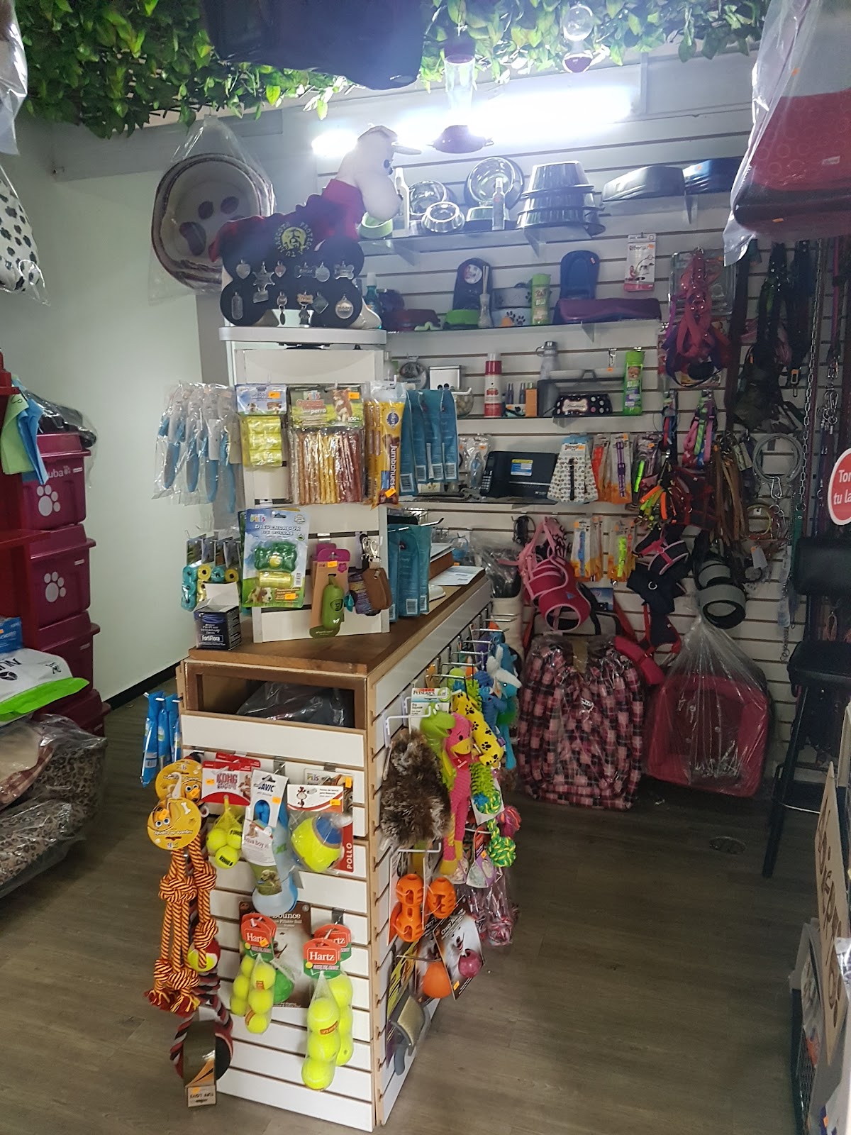 CONSULTORIO VETERINARIO "JOE" — foto 2