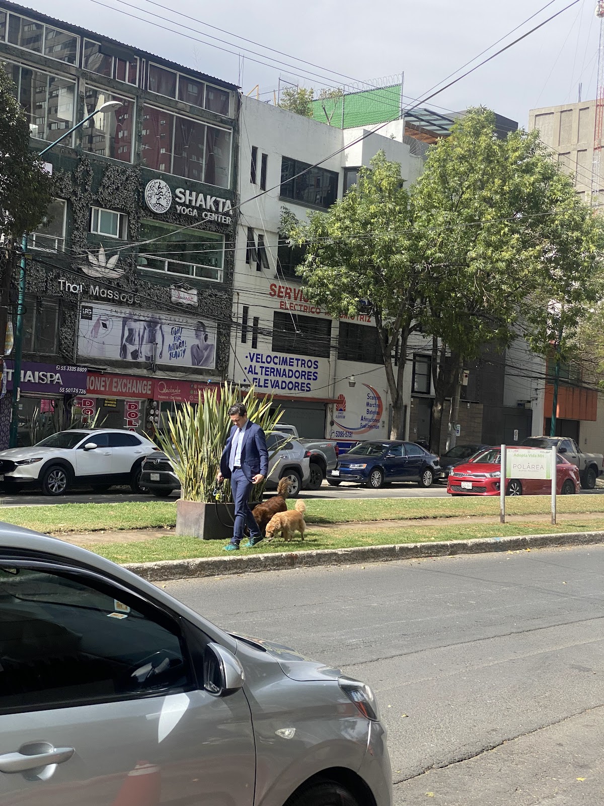 Servicio Albarrán Eléctrico Automotriz — foto 2
