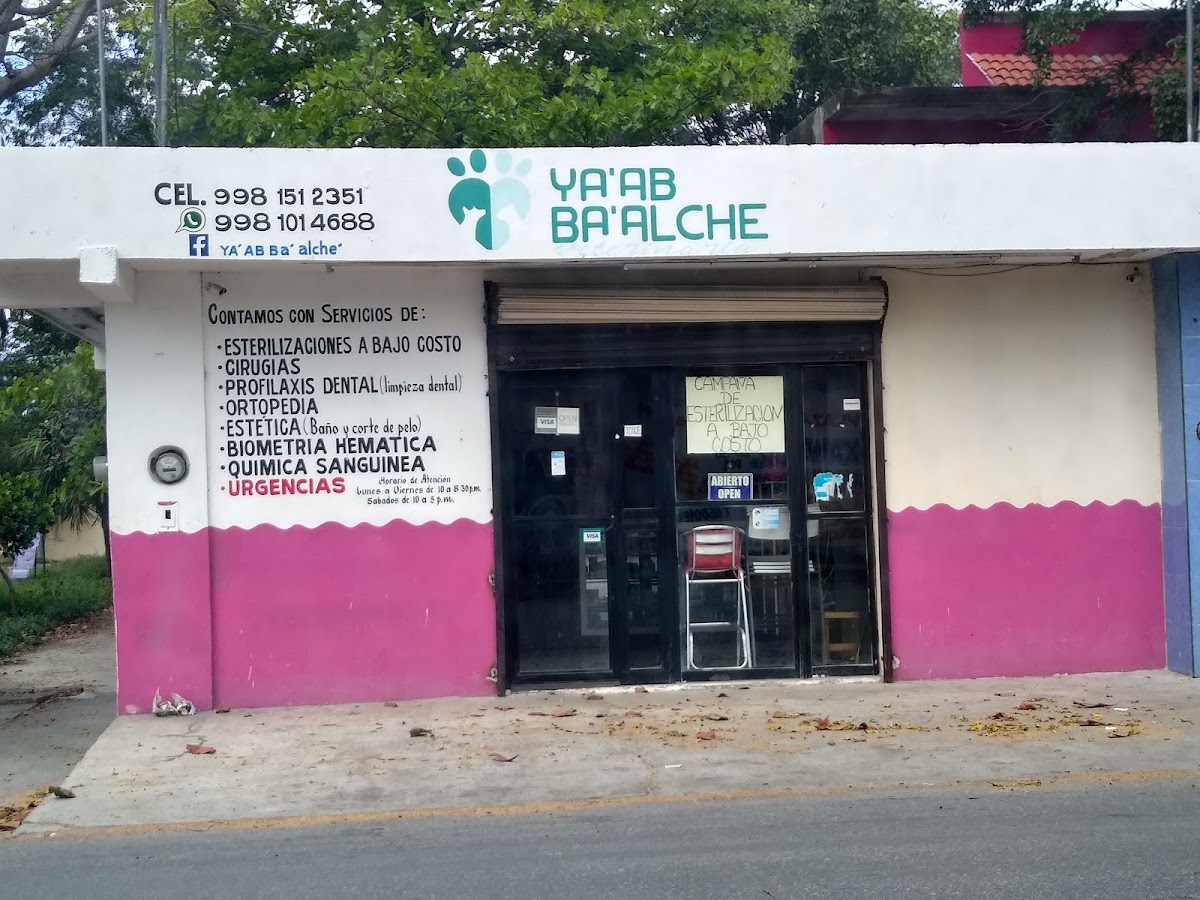 Ya'ab Ba'alche Veterinaria