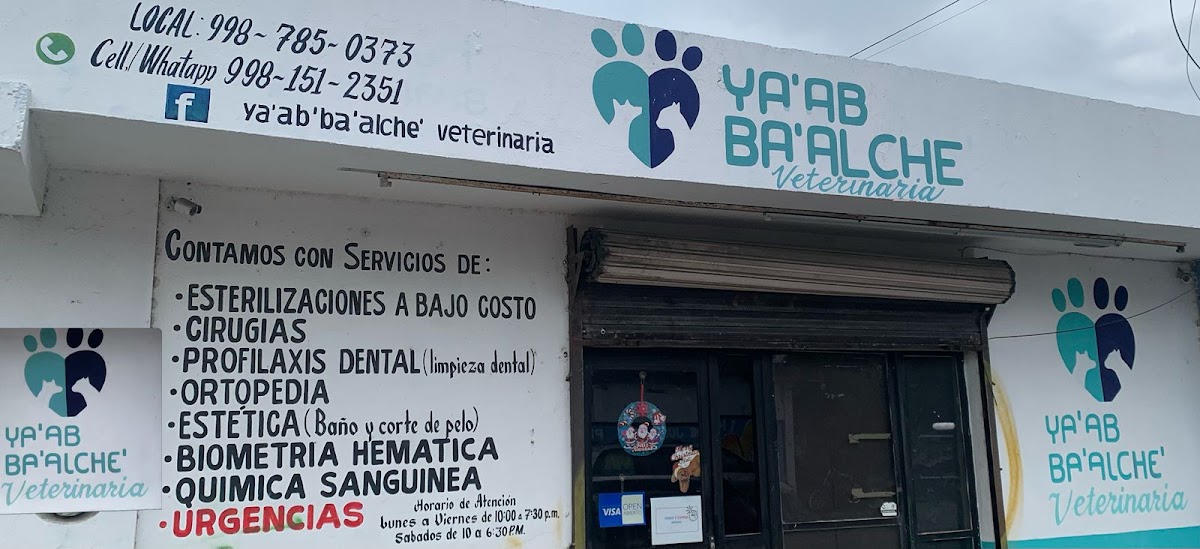 Ya'ab Ba'alche Veterinaria — foto 2
