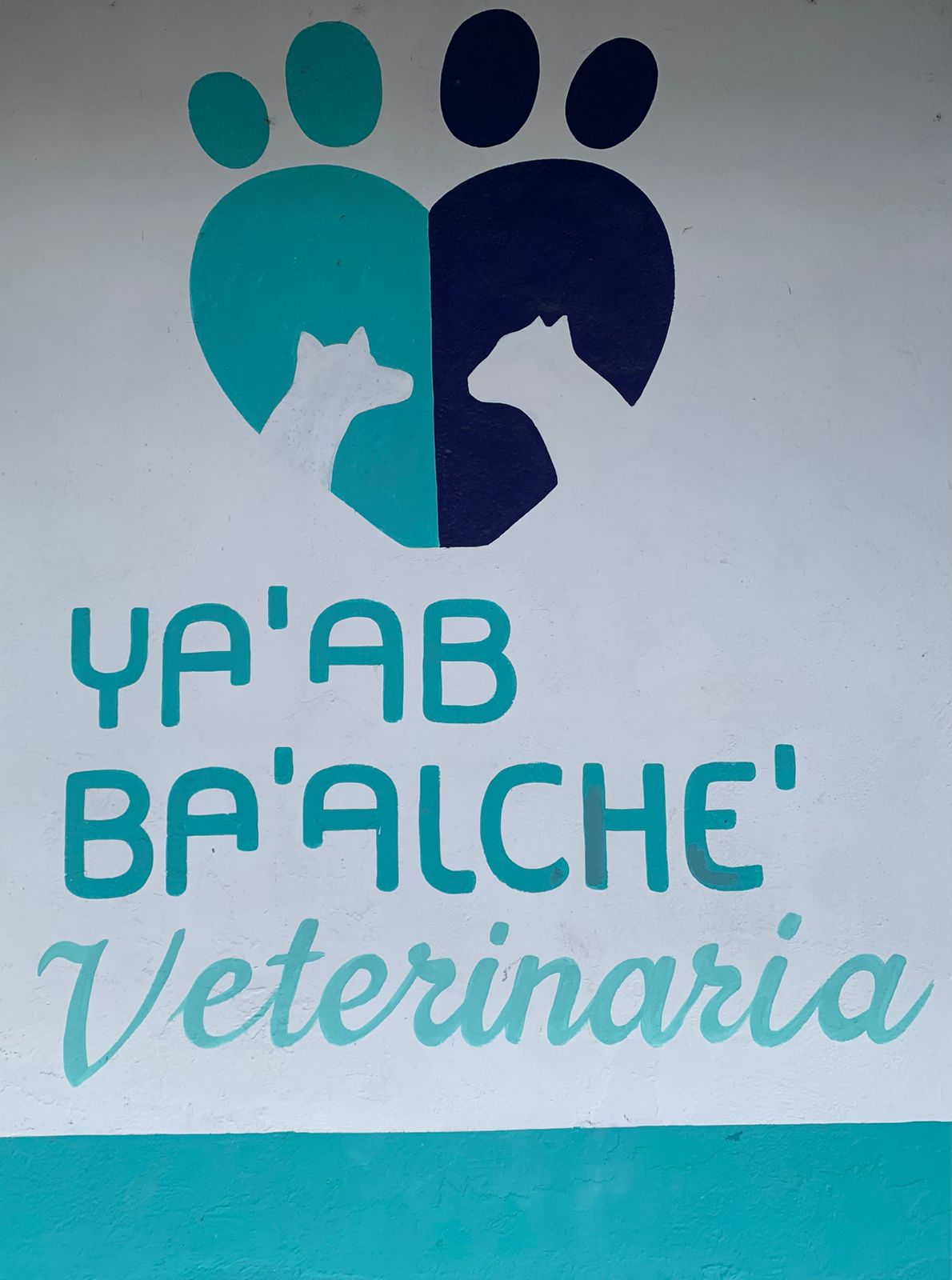 Ya'ab Ba'alche Veterinaria — foto 4