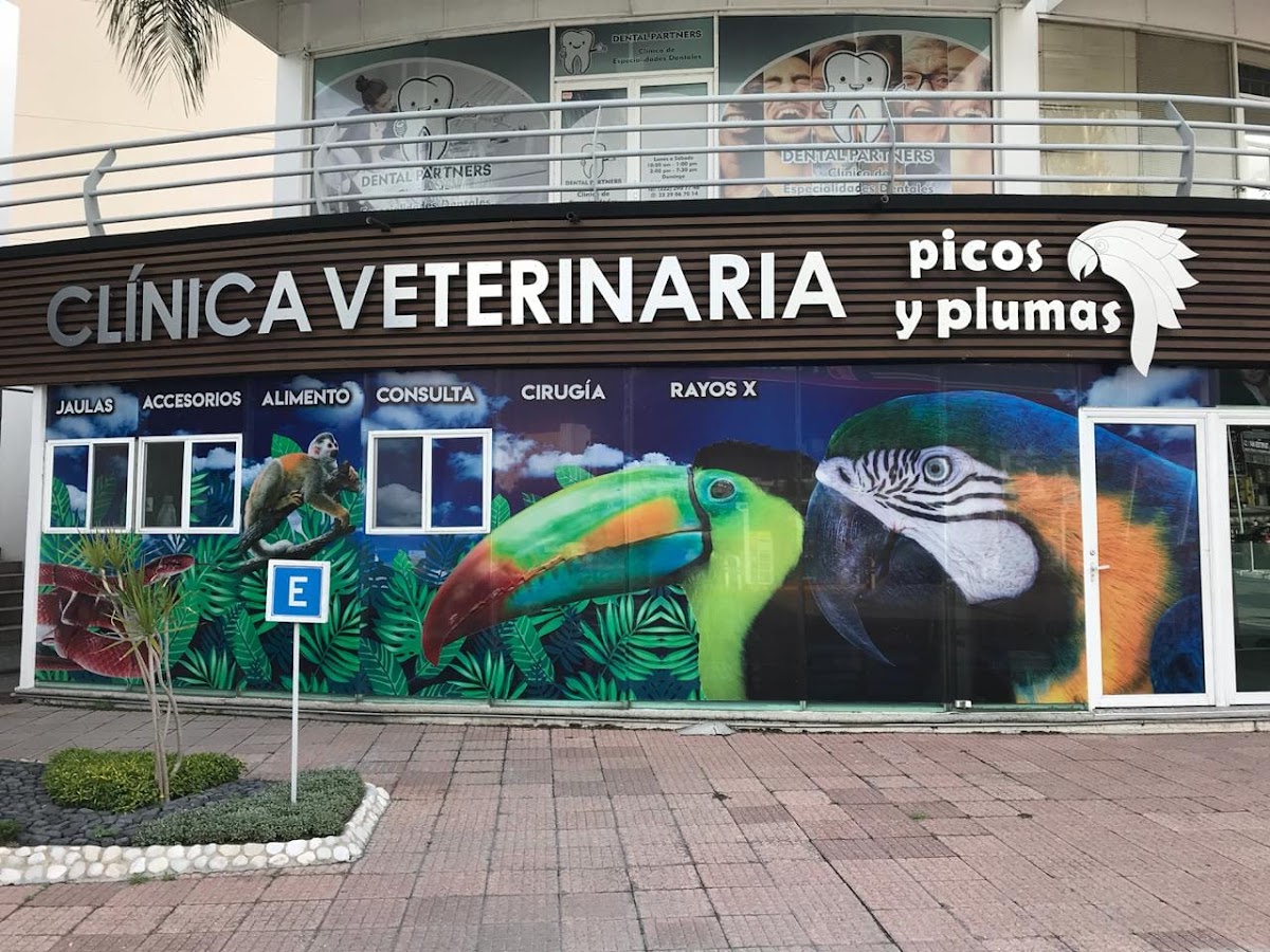 Picos y Plumas Angelópolis — foto 3