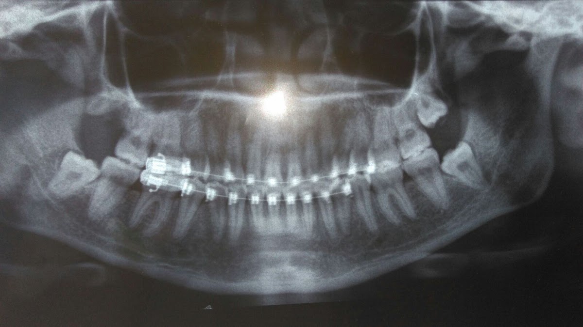 DENTAL ROMA — foto 3