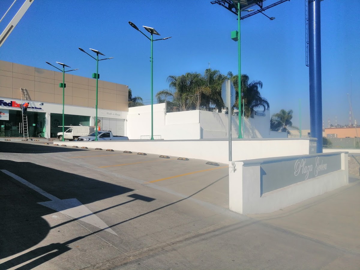 Plaza Gerbera — foto 3