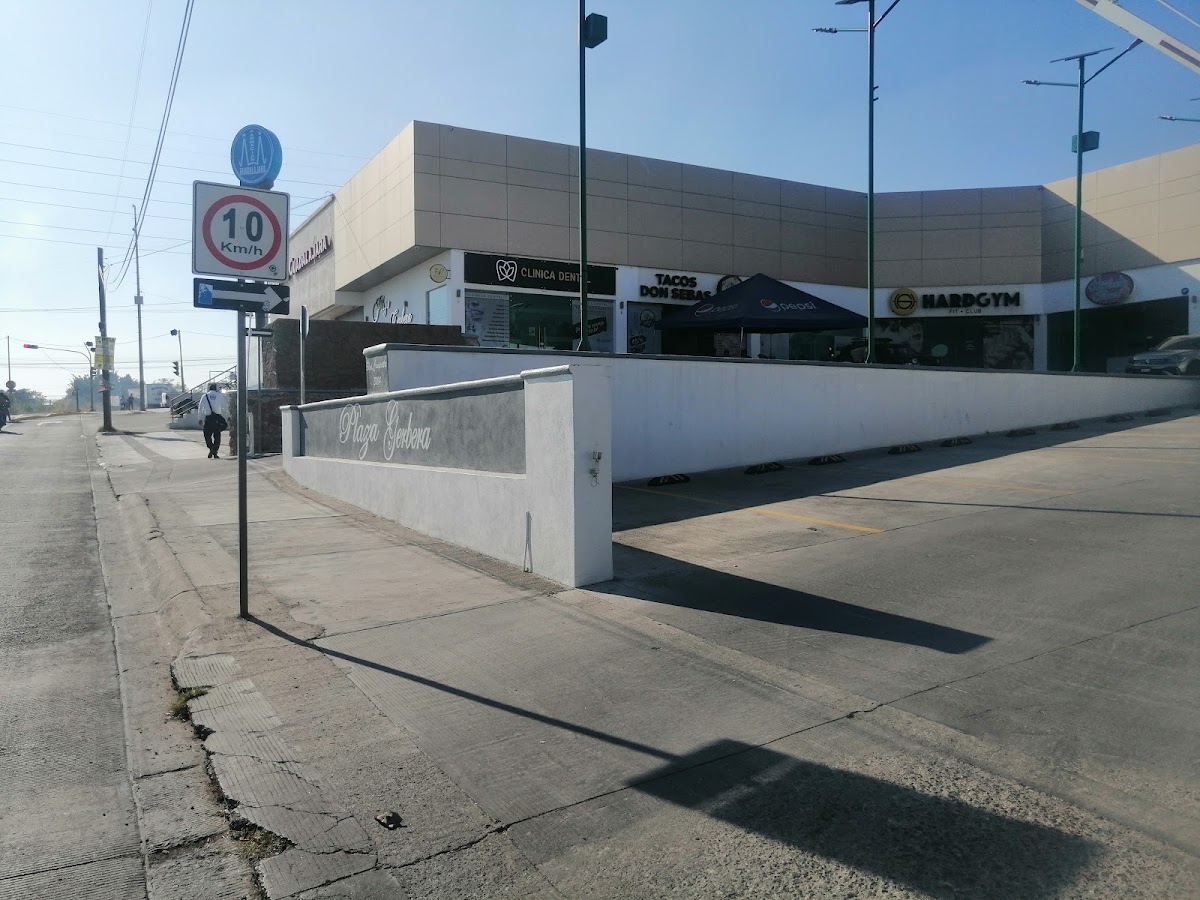 Plaza Gerbera — foto 4