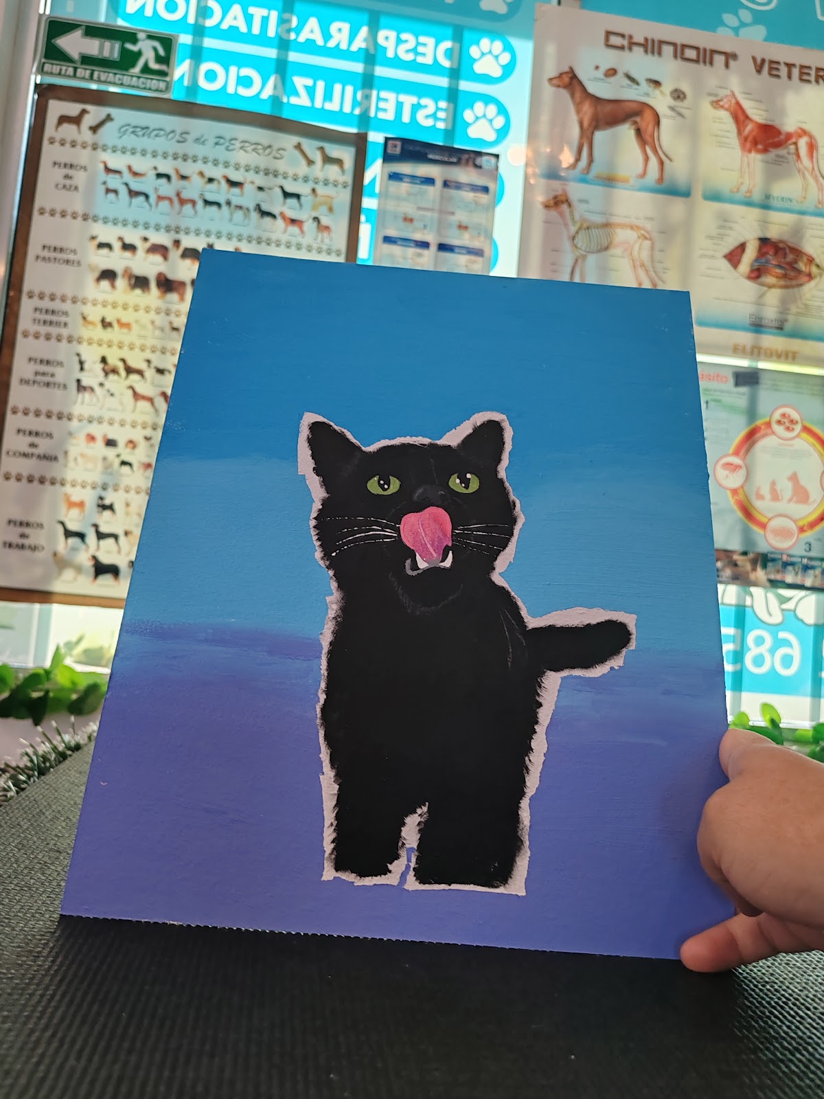 Clínica Veterinaria Dexter's — foto 4