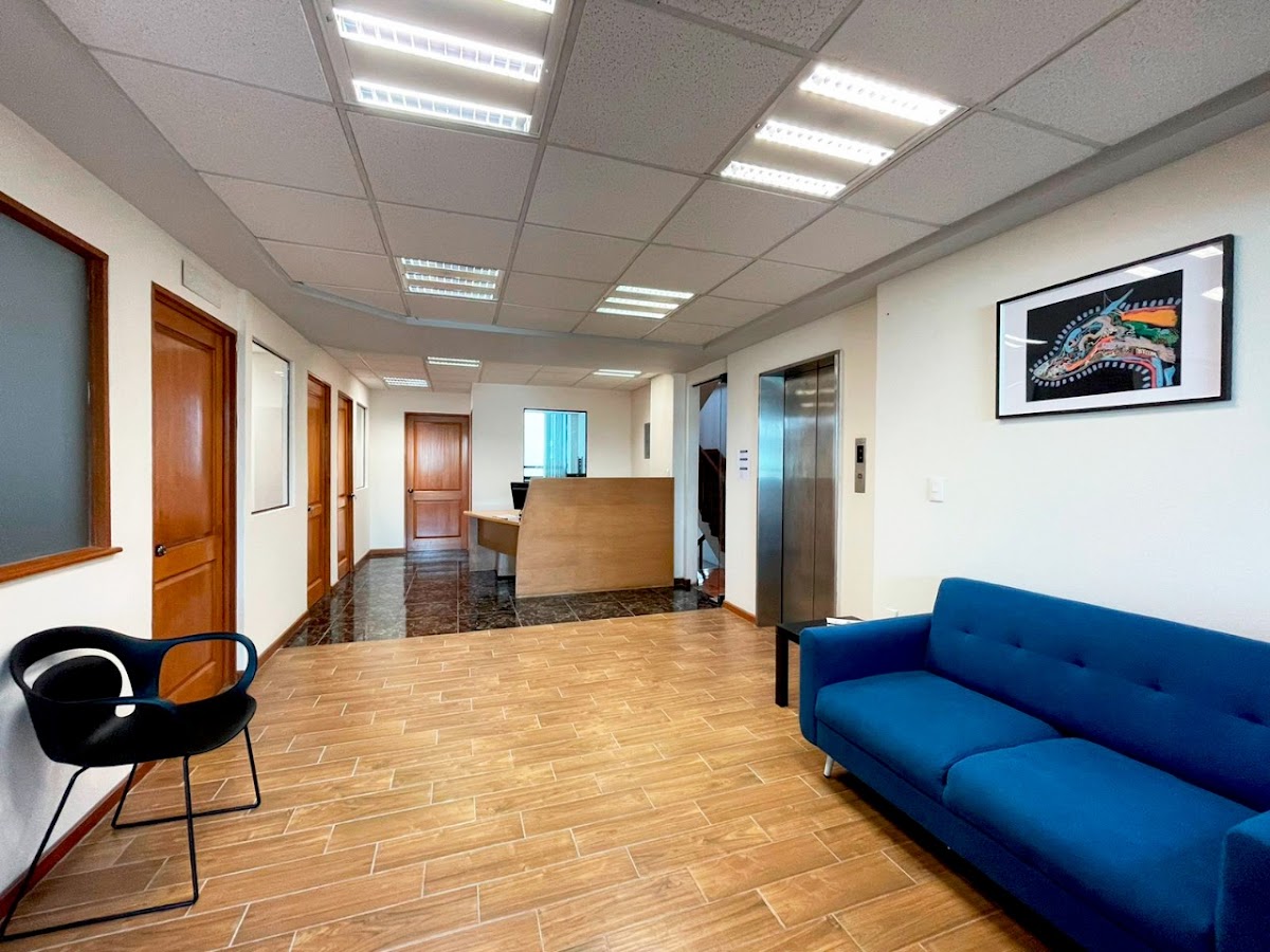 Hospital Veterinario WestCare Condesa — foto 2