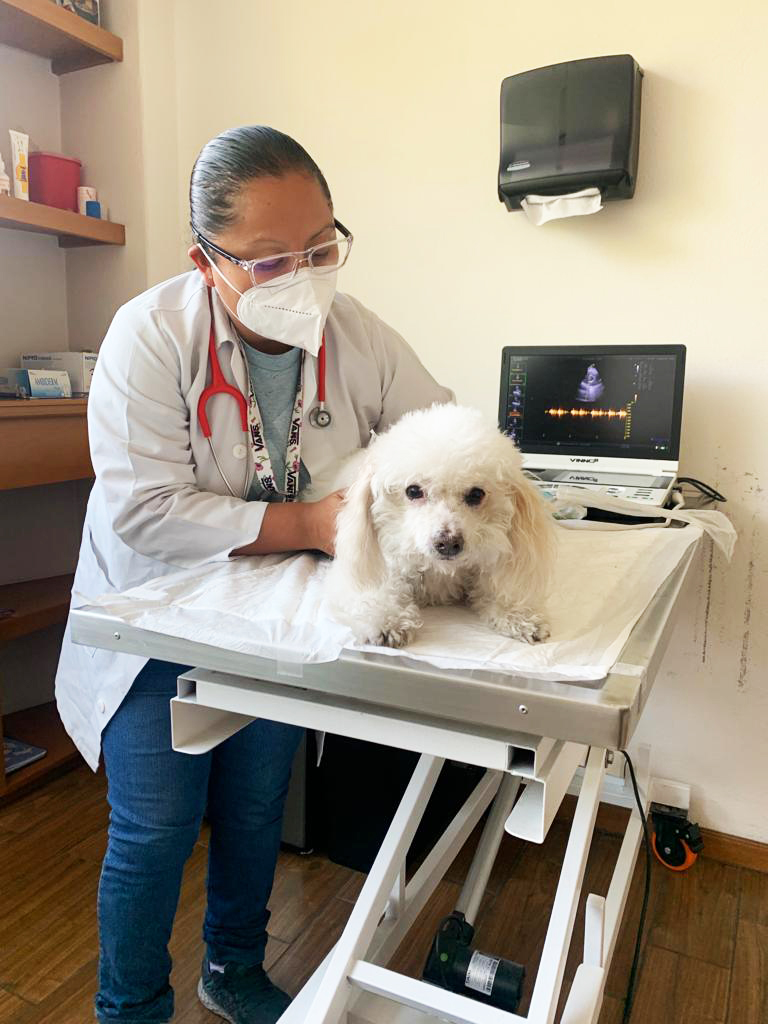 Hospital Veterinario WestCare Condesa — foto 3