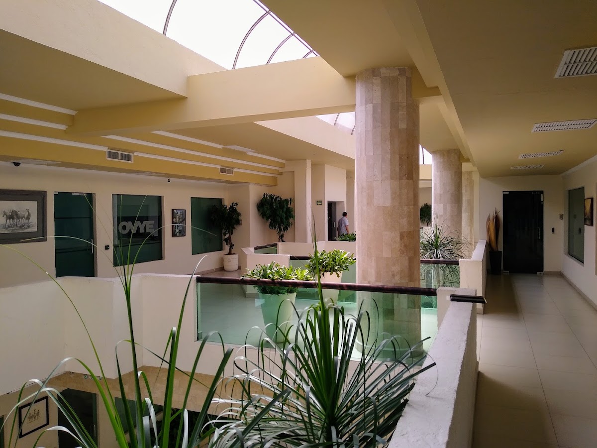 PLAZA VALLE SAKKARA — foto 3