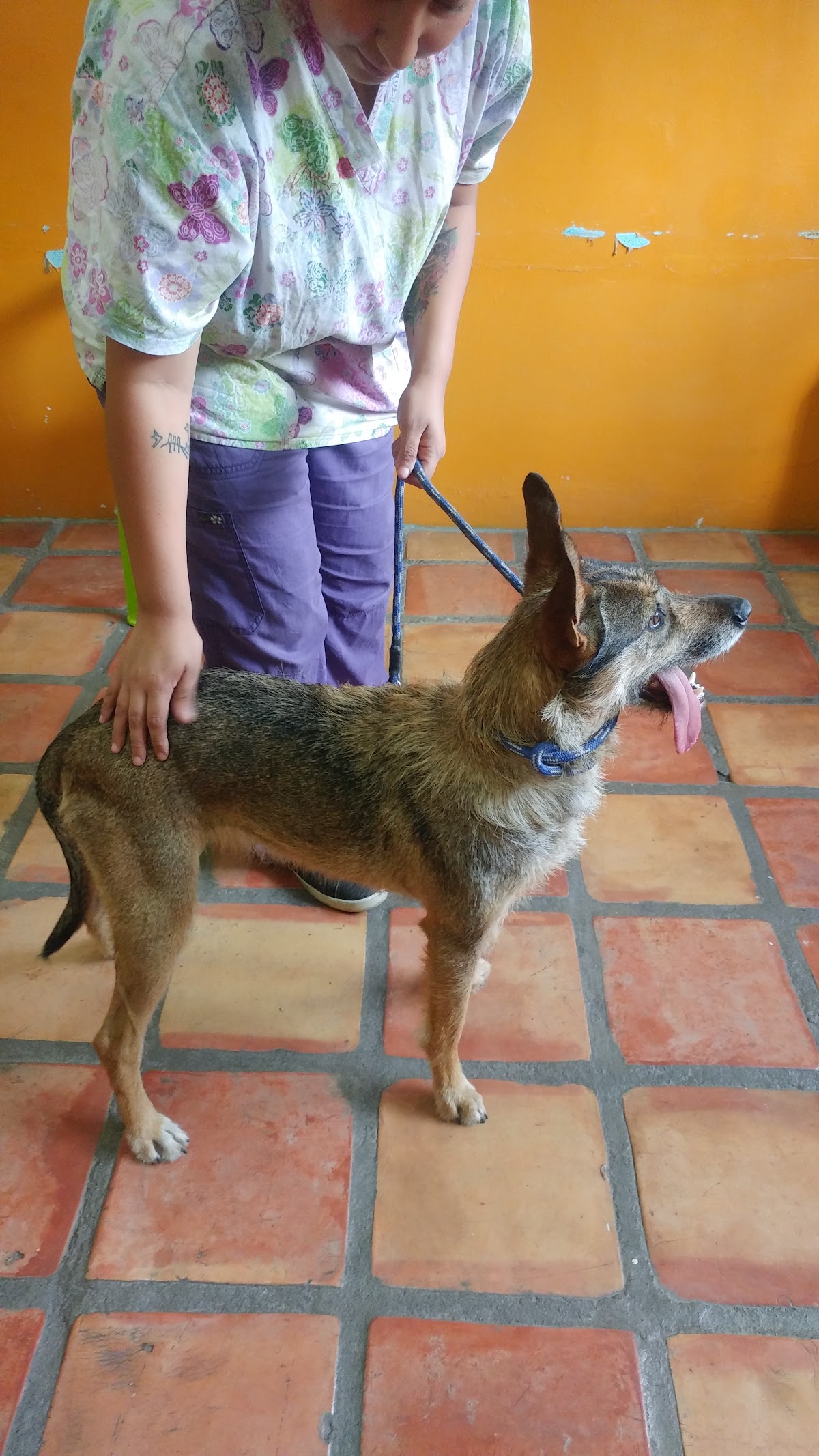 Centro Veterinario Monterrey