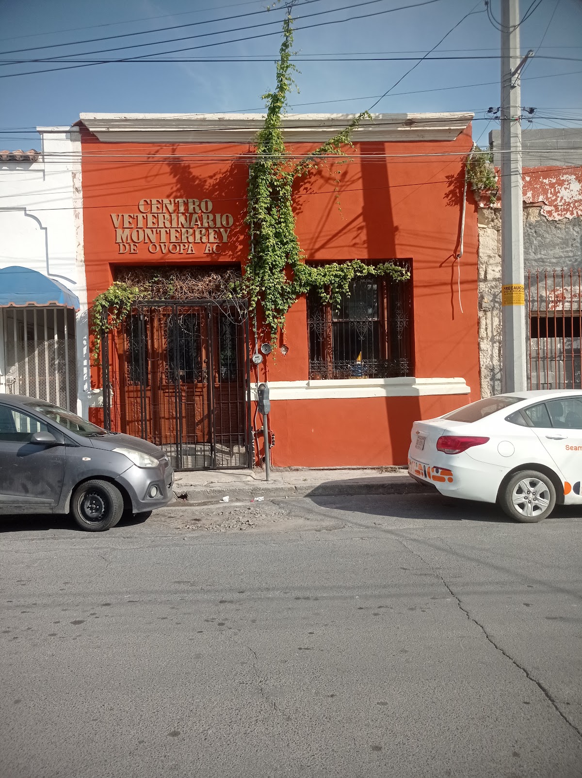 Centro Veterinario Monterrey — foto 2