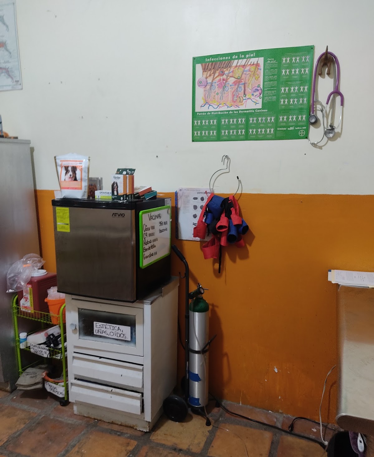 Centro Veterinario Monterrey — foto 4