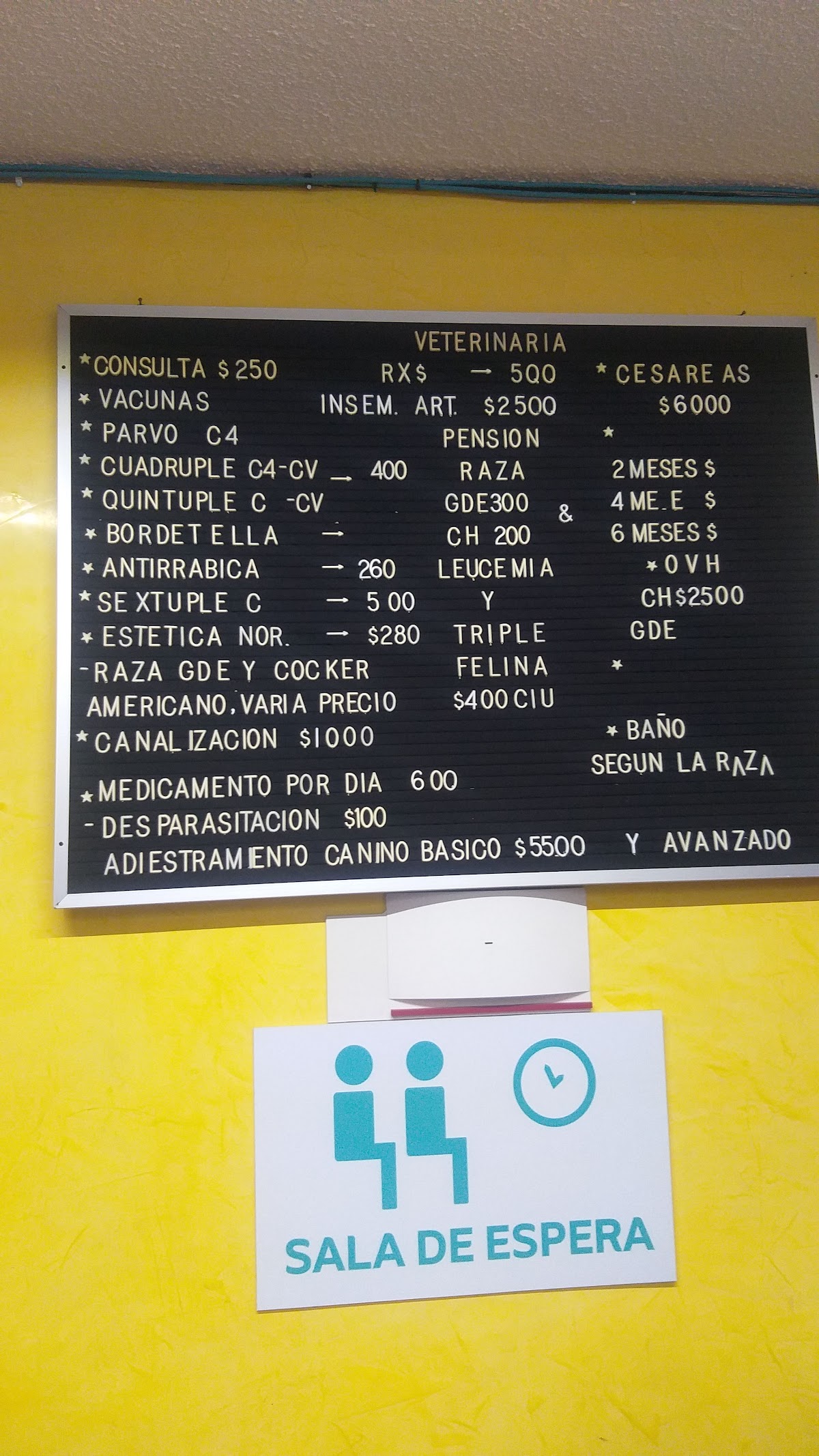 Hospital Centro Veterinario — foto 4