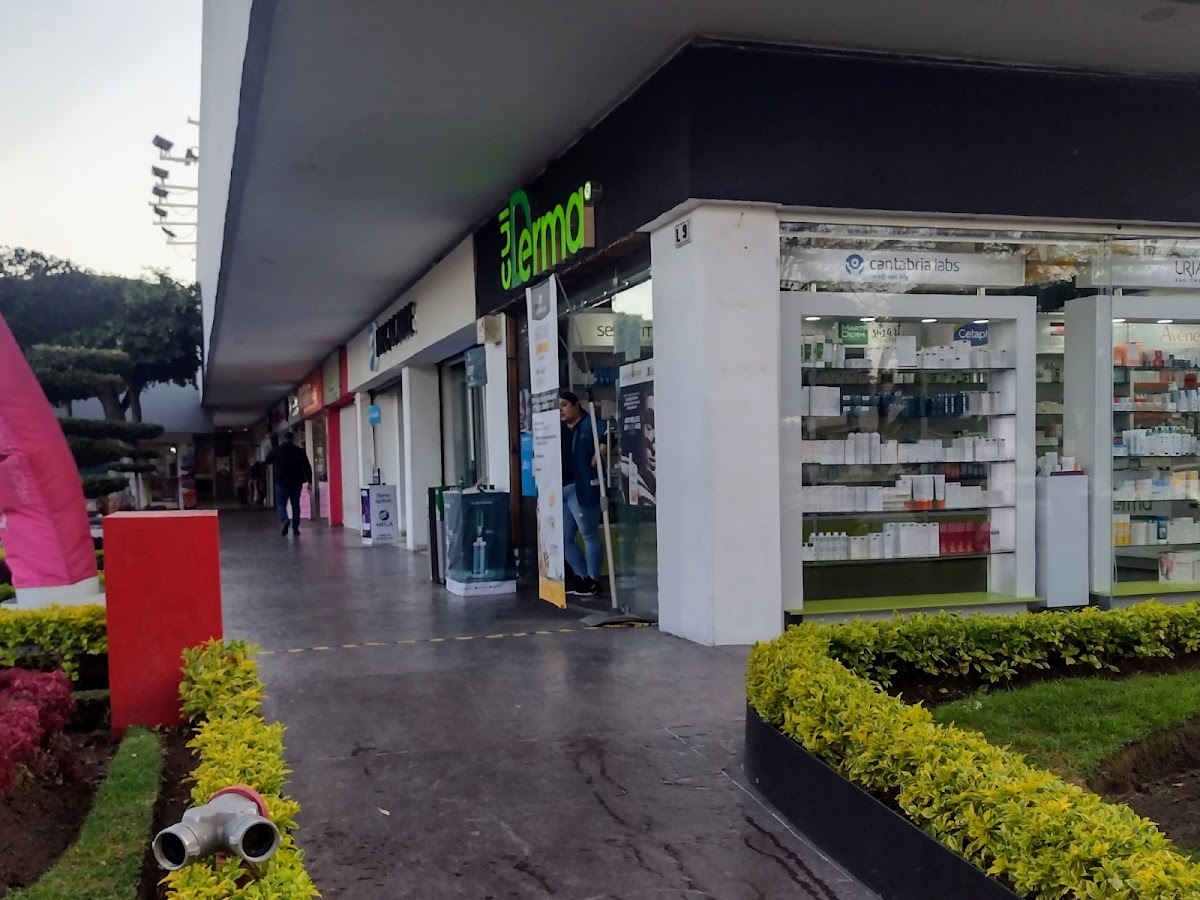 Cuiderma providencia