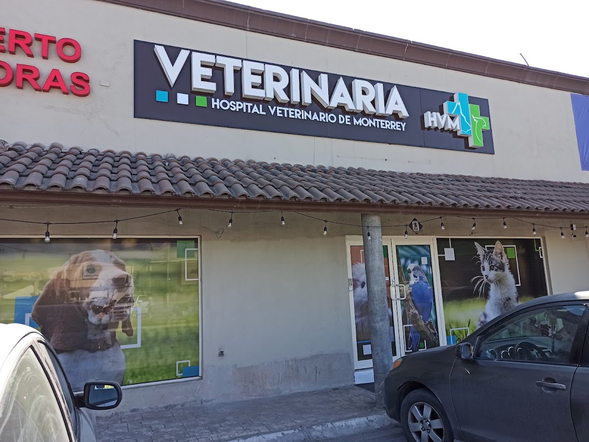 Hospital Veterinario de Monterrey — foto 3