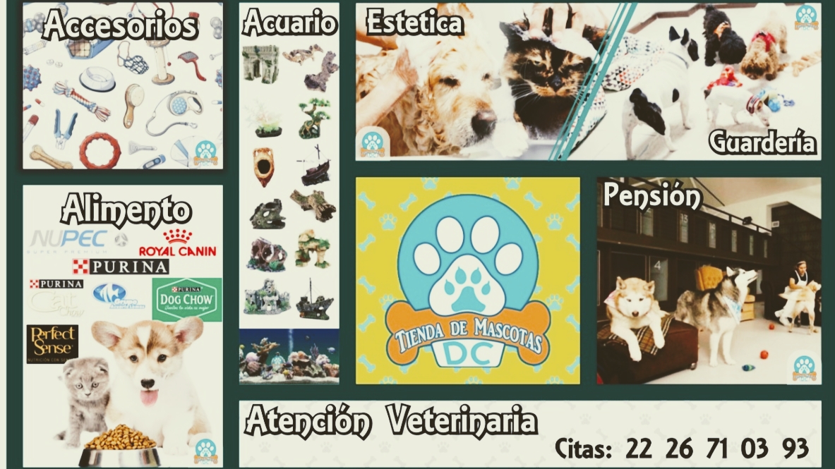 VETERINARIA DC