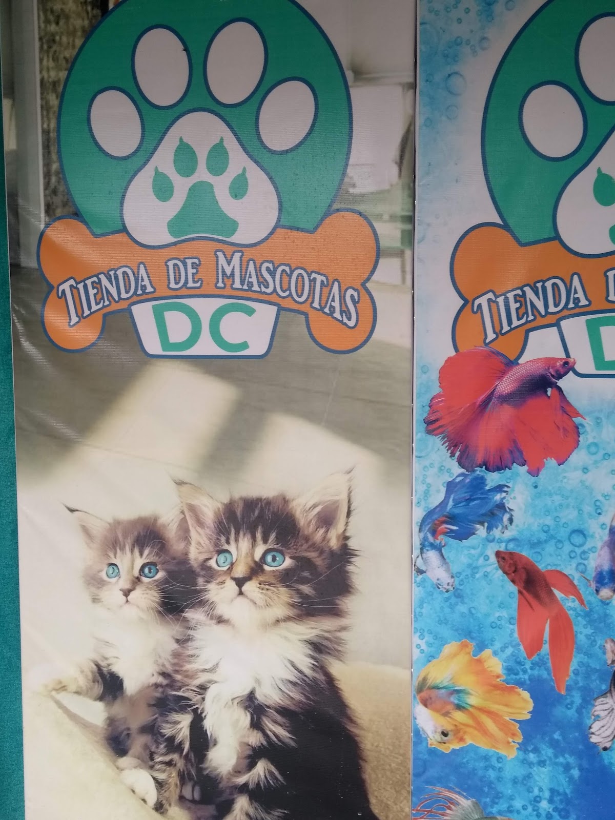 VETERINARIA DC — foto 4