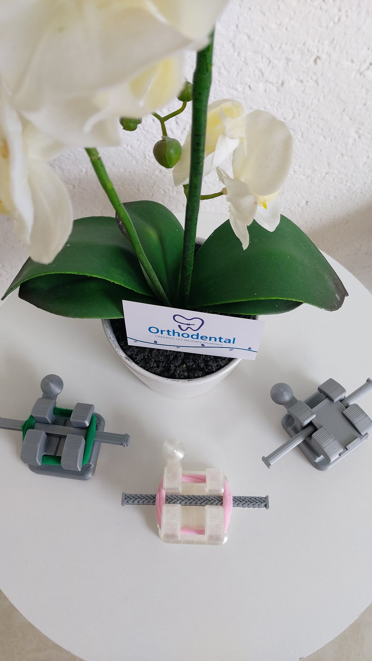 Orthodental Juriquilla — foto 4