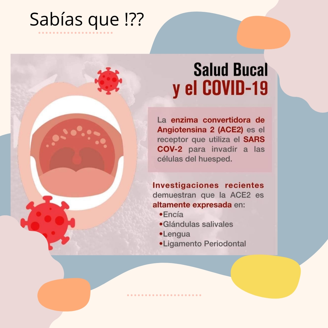 Dentista dentica , jardines de el moral — foto 2