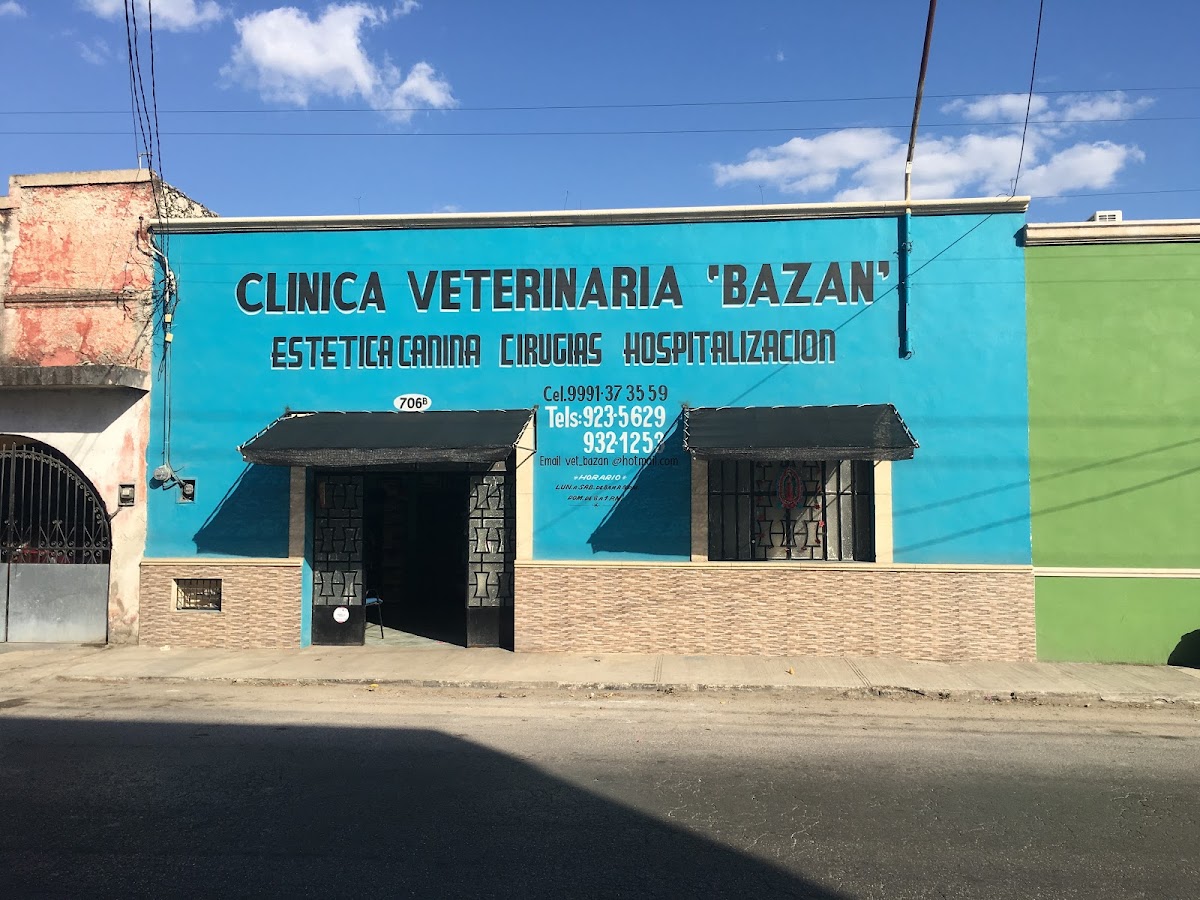 CLÍNICA VETERINARIA BAZAN — foto 4