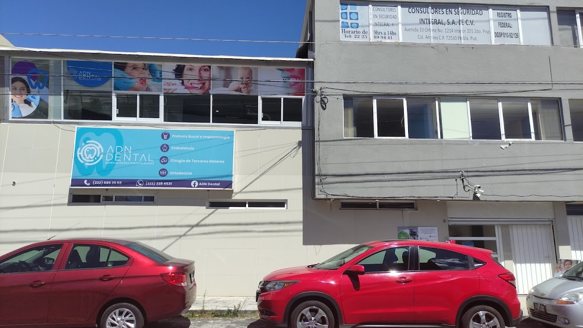 ADN Dental — foto 2