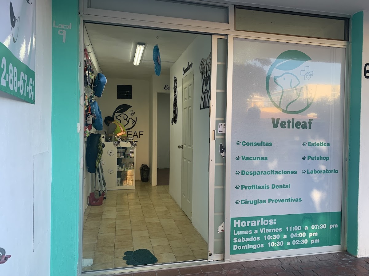 Vetleaf Veterinaria y Estética — foto 2