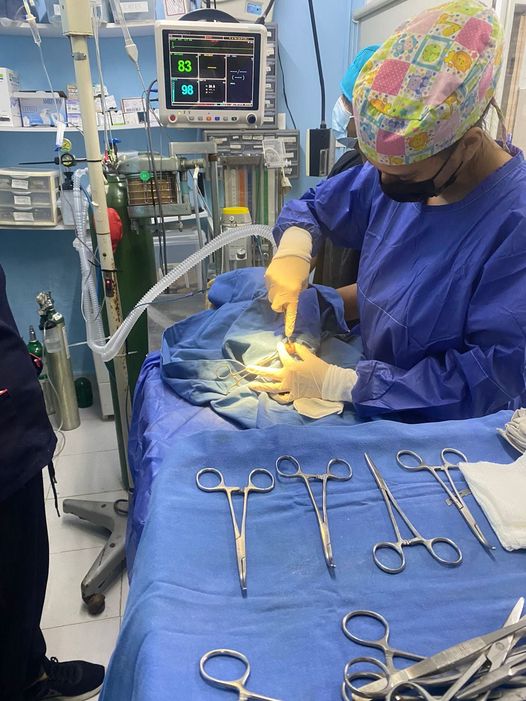 HOSPITAL VETERINARIO REVILLA — foto 2