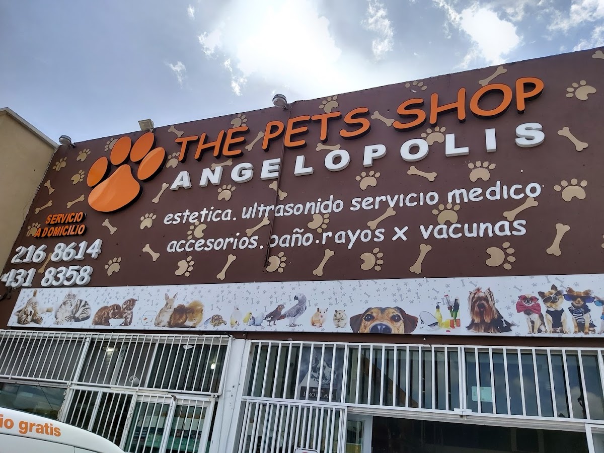 The Pets Shop Angelopolis