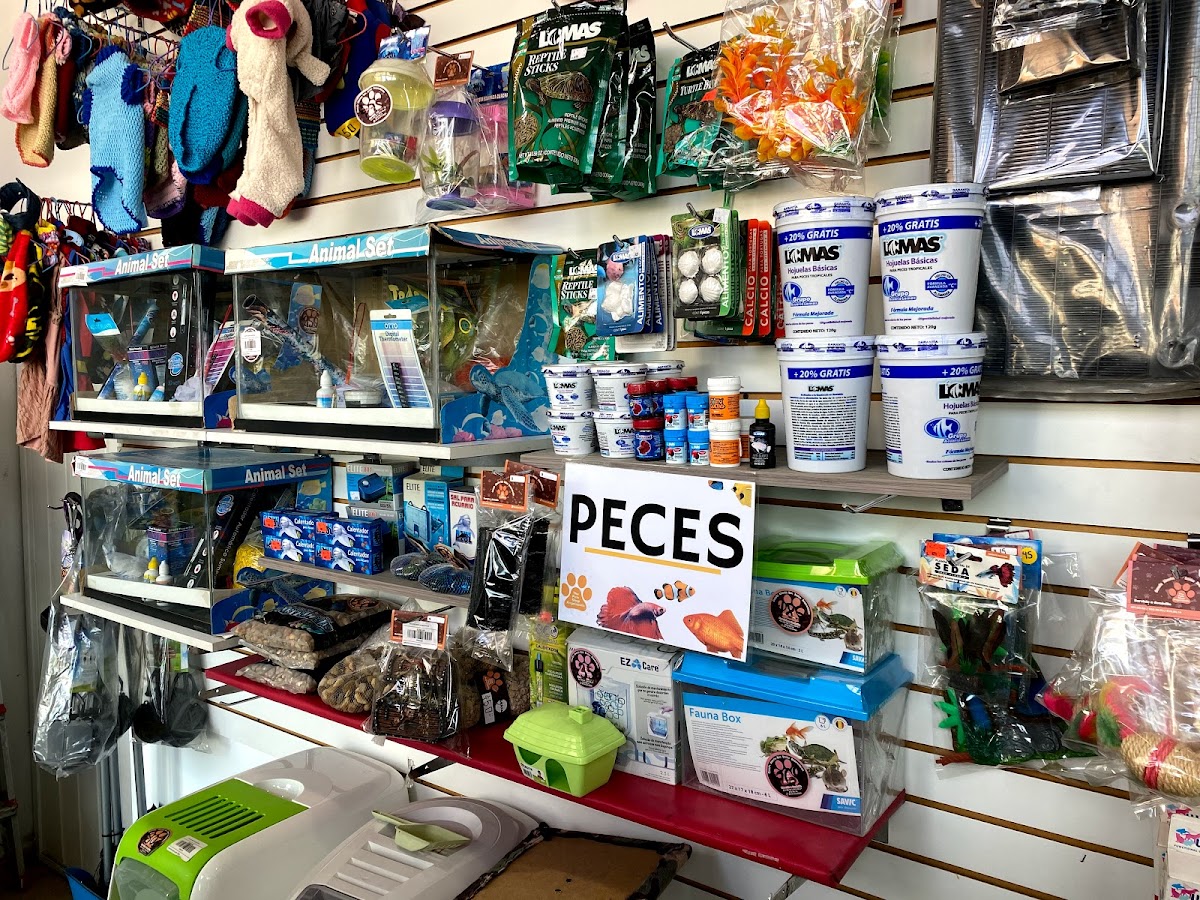 The Pets Shop Angelopolis — foto 3