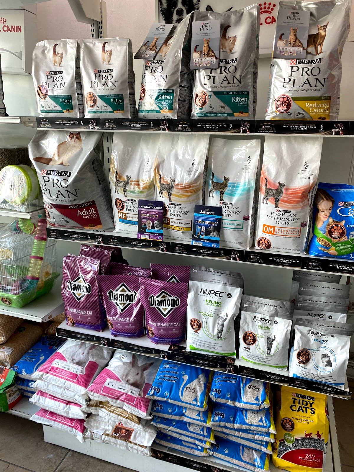 The Pets Shop Angelopolis — foto 4