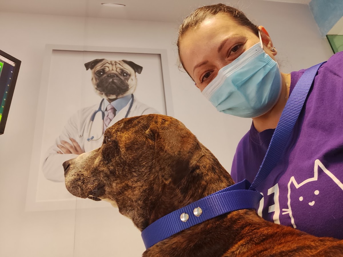 Centro Veterinario Integral — foto 3
