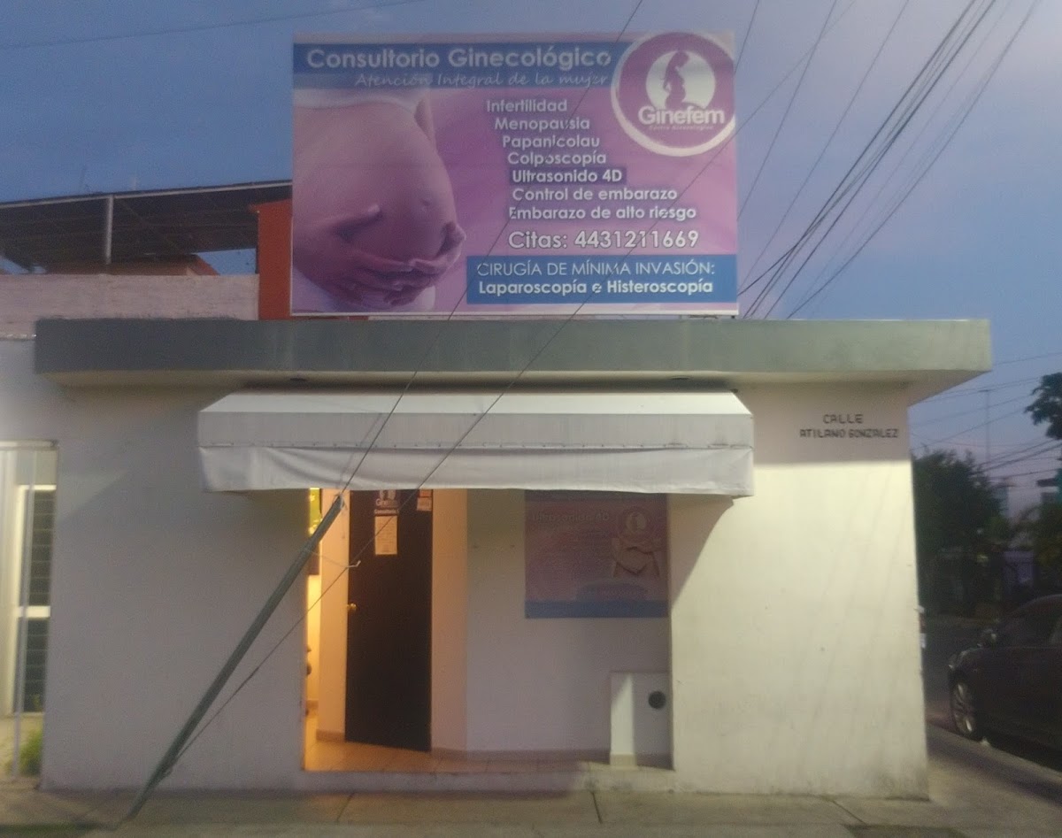 GINEFEM — foto 2