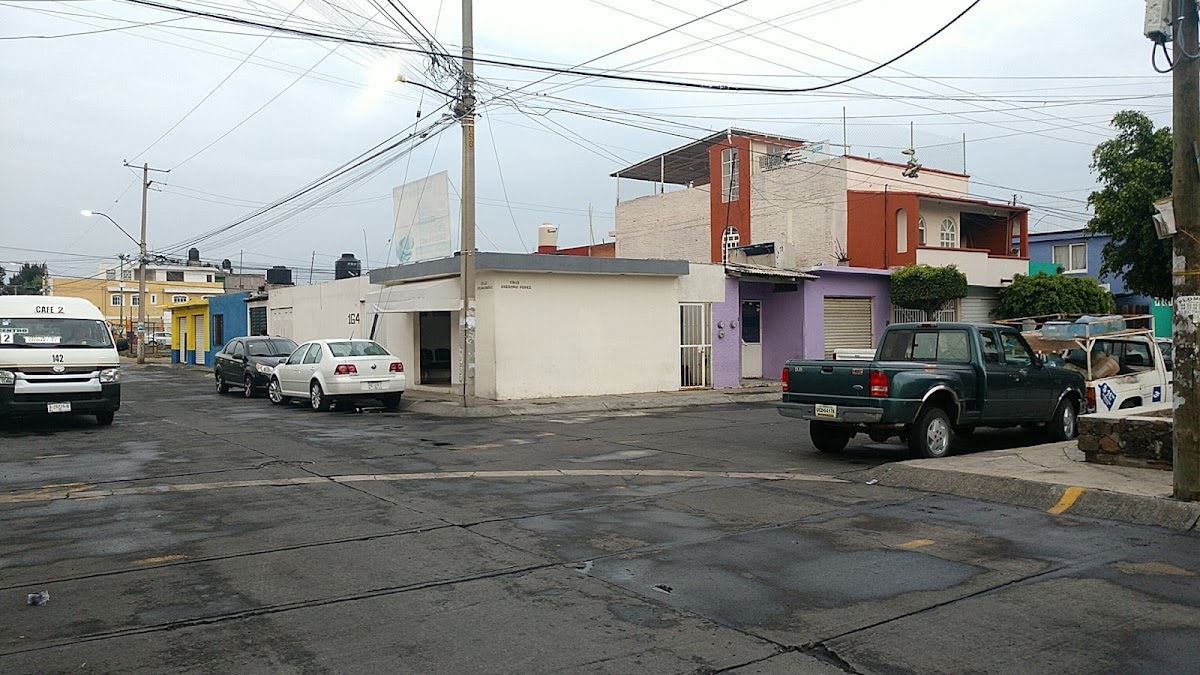 GINEFEM — foto 4