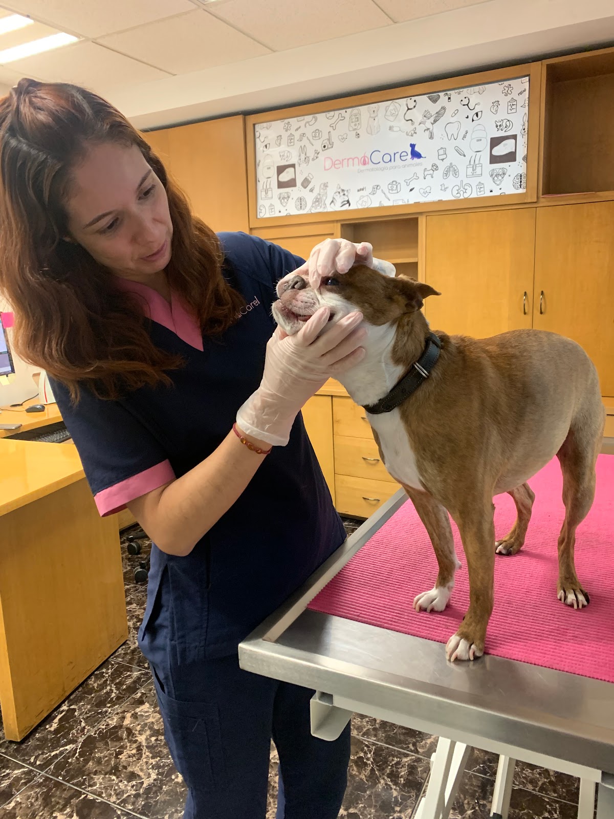 Dermatología Veterinaria DermaCare Condesa — foto 2