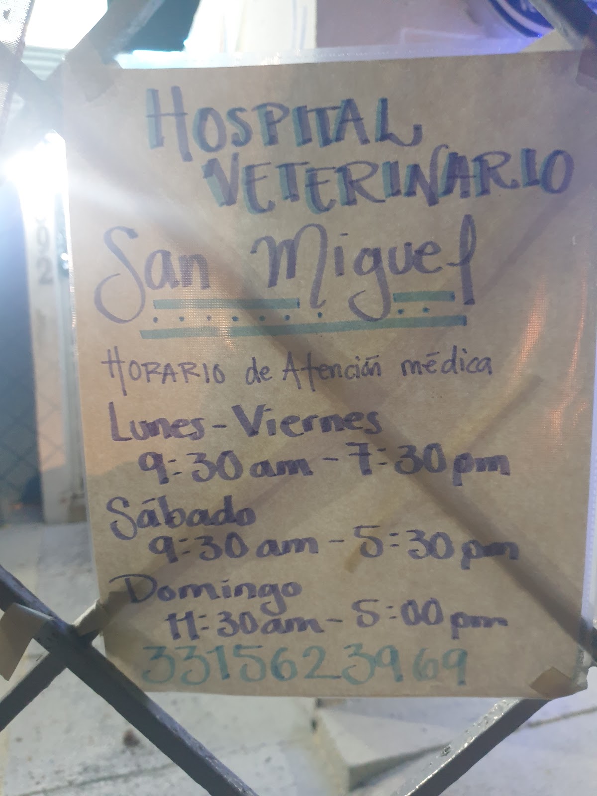 HOSPITAL VETERINARIO SAN MIGUEL — foto 4