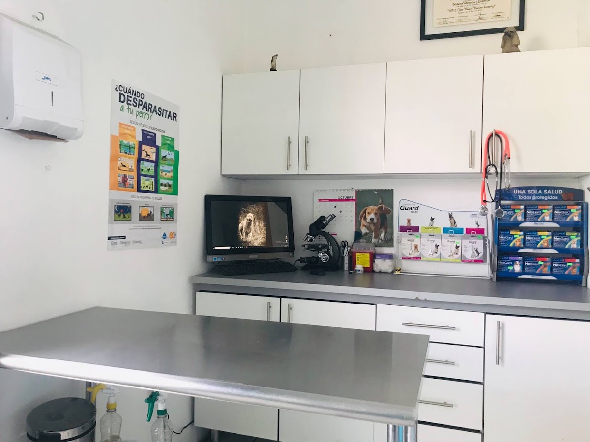 Hospital veterinario Alvet — foto 3