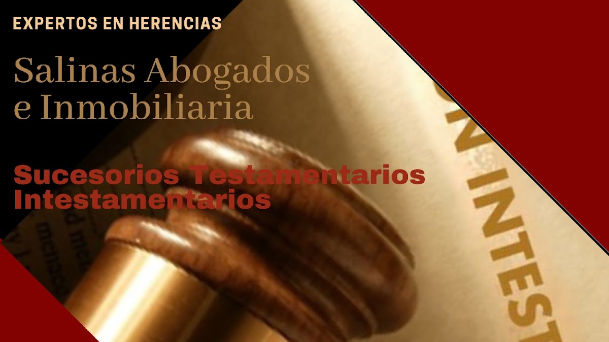 SALINAS ABOGADOS E INMOBILIARIA