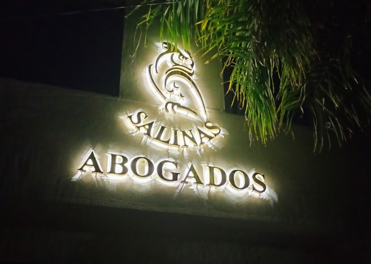 SALINAS ABOGADOS E INMOBILIARIA — foto 4
