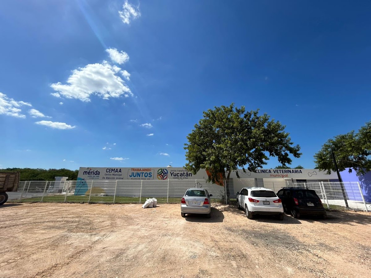 Centro Municipal de Atención Animal (CEMAA)