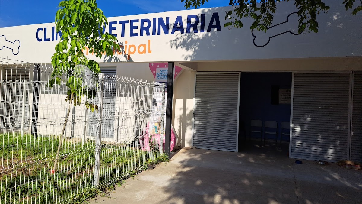 Centro Municipal de Atención Animal (CEMAA) — foto 3