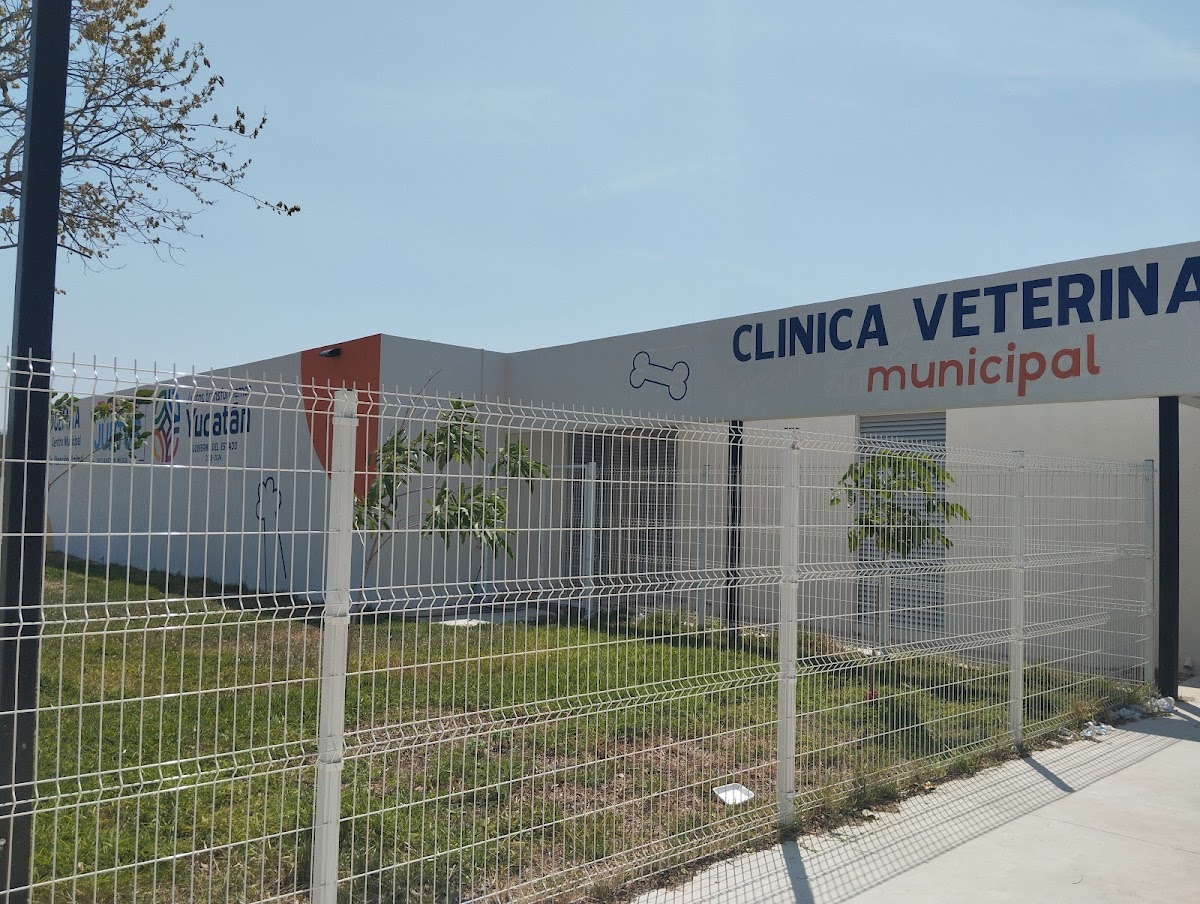 Centro Municipal de Atención Animal (CEMAA) — foto 4