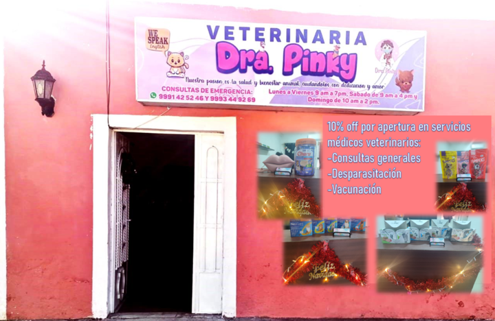 Veterinaria Dra Pinky — foto 4