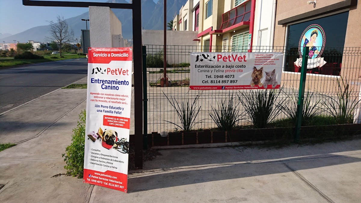 PetVet Clínica Veterinaria — foto 3