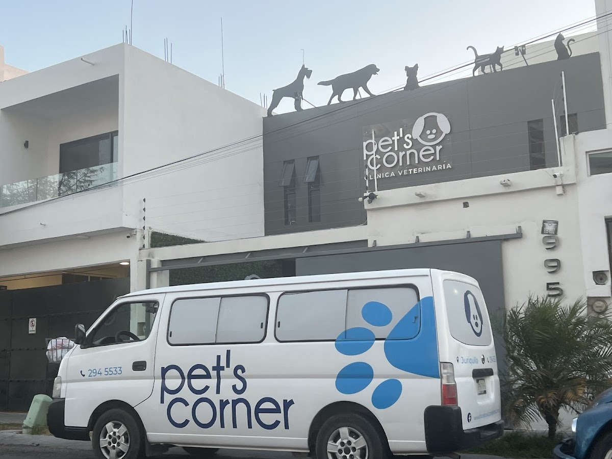 Pet's Corner — foto 2