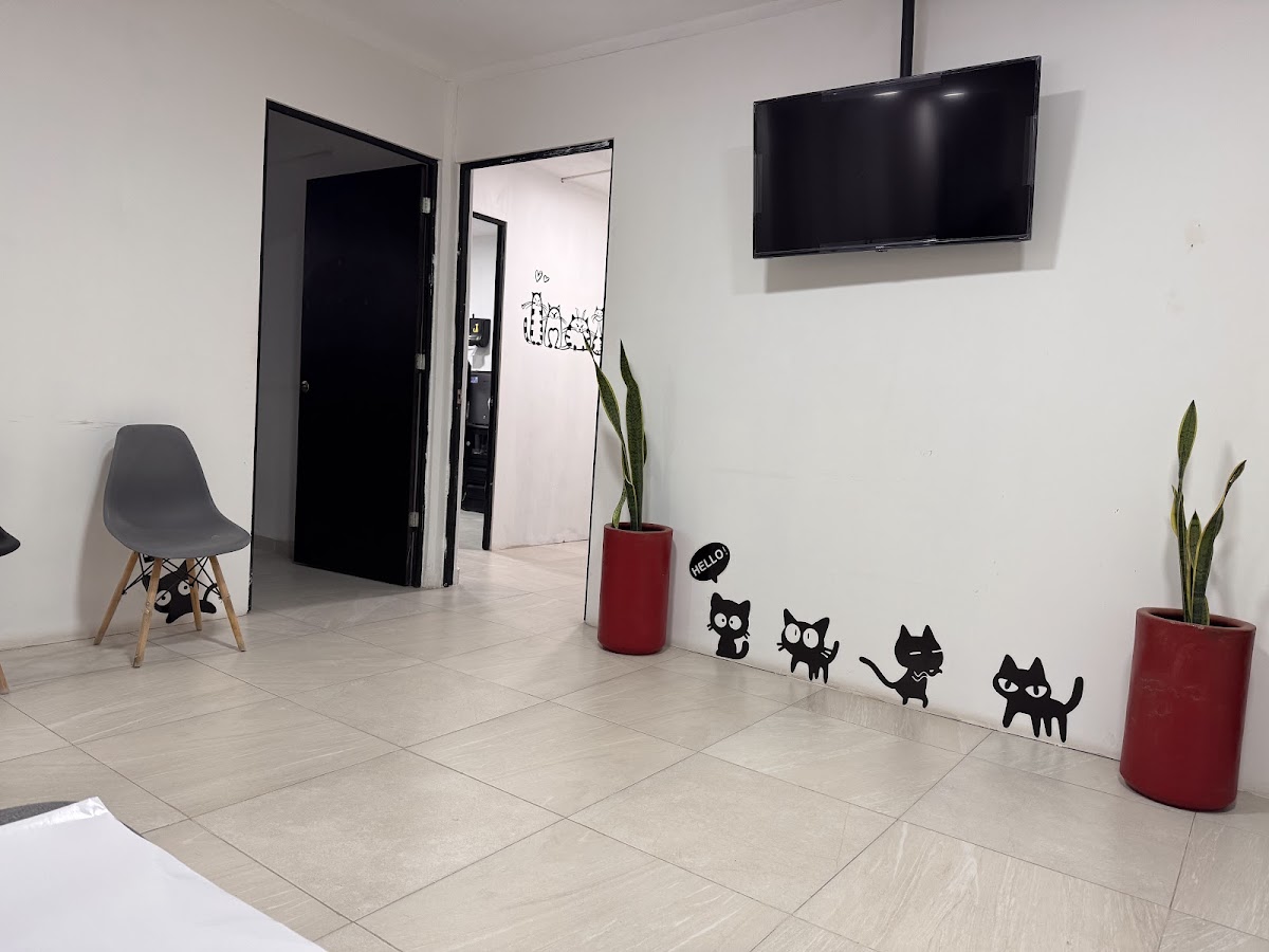 Centro Veterinario Santa Fe — foto 2
