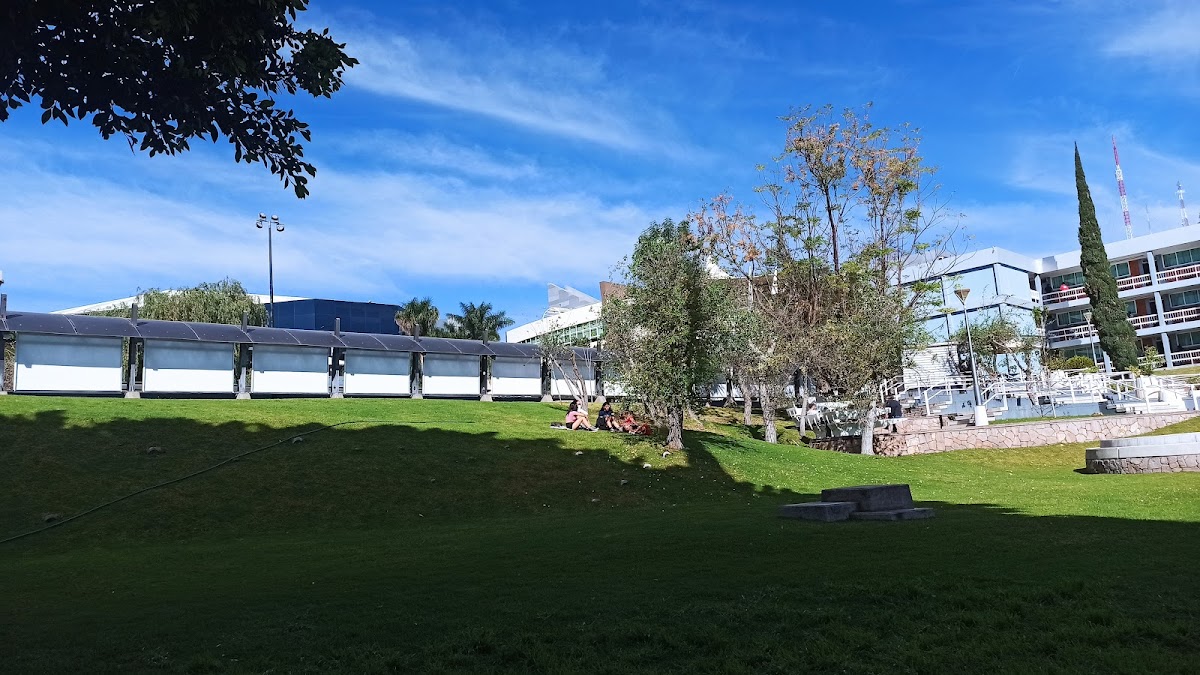 Universidad La Salle Bajío Campus Campestre — foto 3