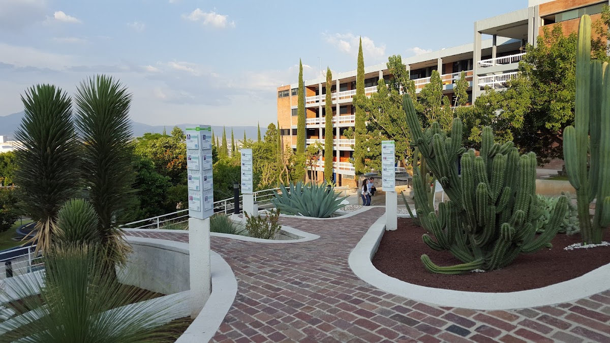 Universidad La Salle Bajío Campus Campestre — foto 4