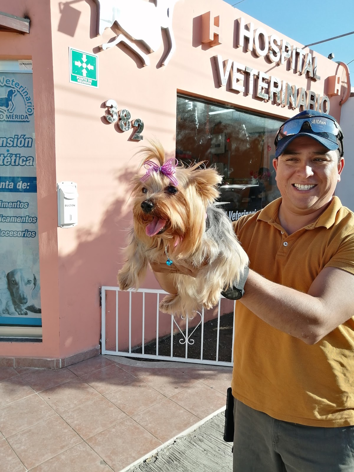 Hospital Veterinario Montejo — foto 3